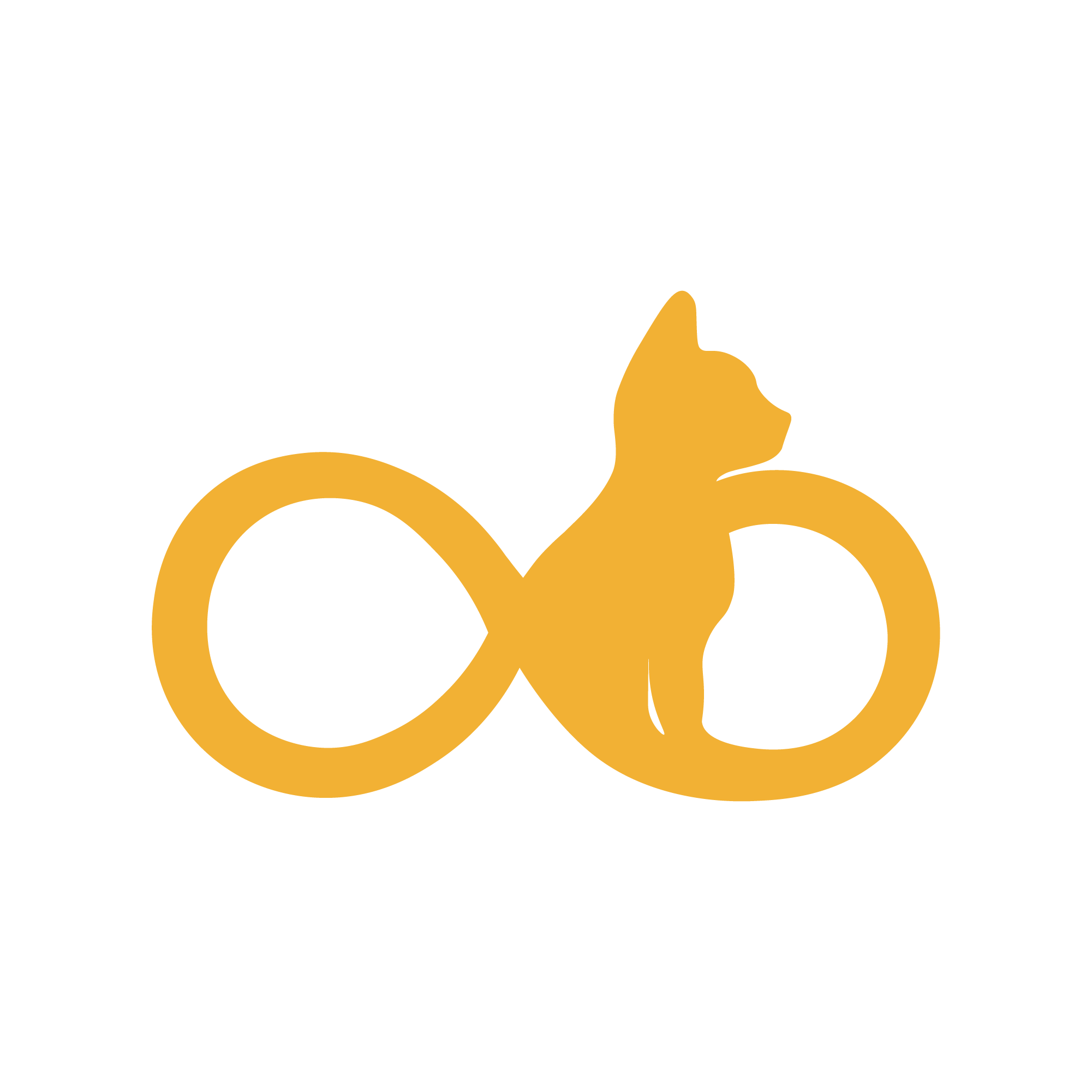 PhysicsGraph PhysicsGraph